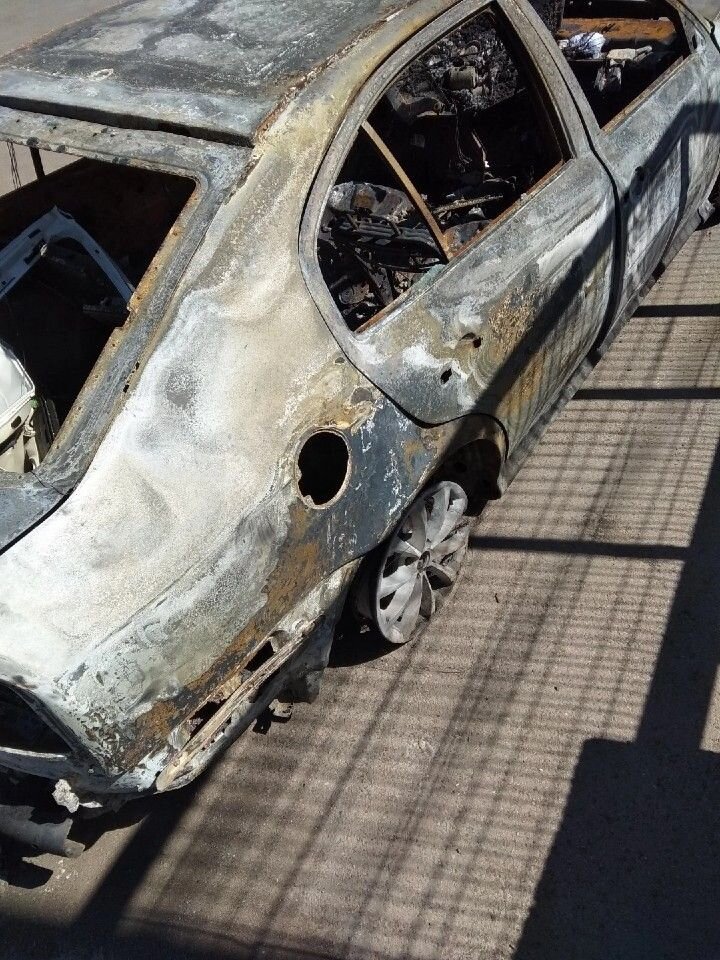 Skoda Octavia: фото владельца