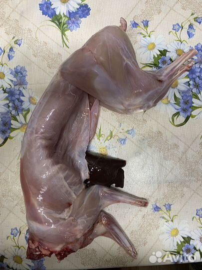 Продам мясо кролика