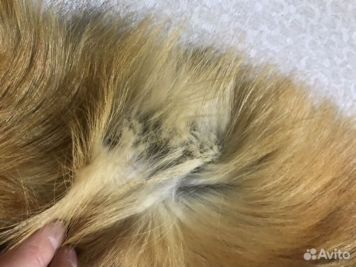 Меховой воротник