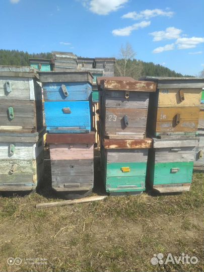 Продам ульи для пчел