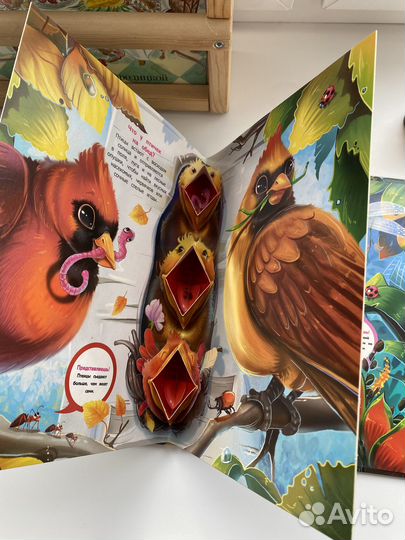 Книга-панорама 'Кто что ест'