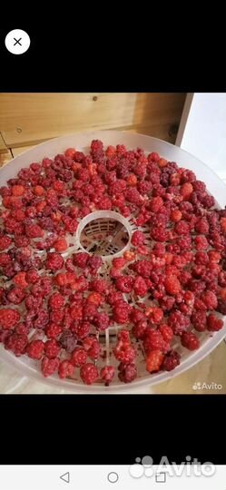 Сушка малина