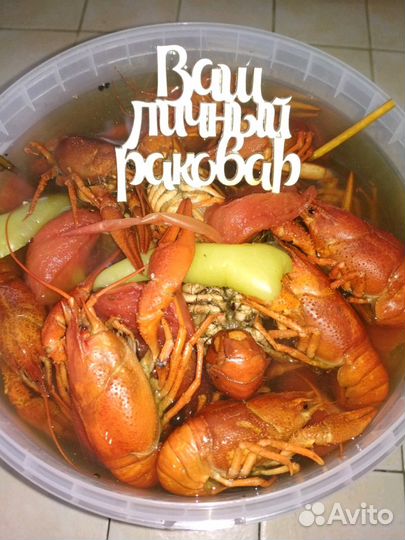 Раки Лабинск