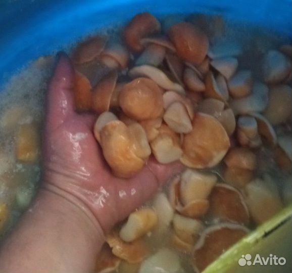 Белый гриб солёный в рестораны круглый год