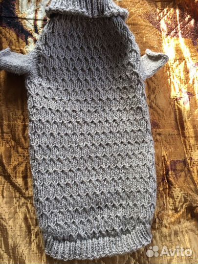 Одежда для собак