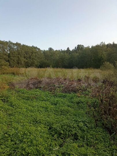 Участок 60 сот. (ИЖС)