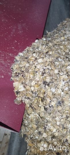 Плющеная зерносмесь