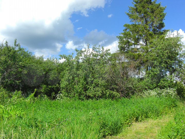 Участок 10 сот. (СНТ, ДНП)