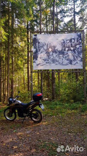 Racer rc300-gy8a ranger