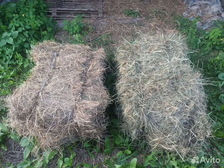 Сено в тюках