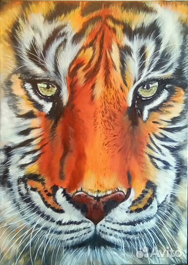 Тигр. Картина. Масло, холст на подрамнике, 50х70