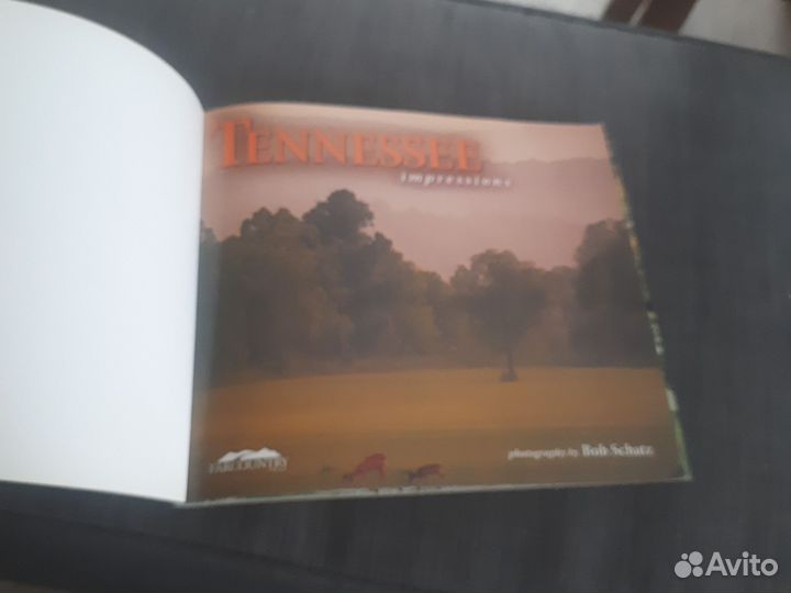 Альбомтенеси