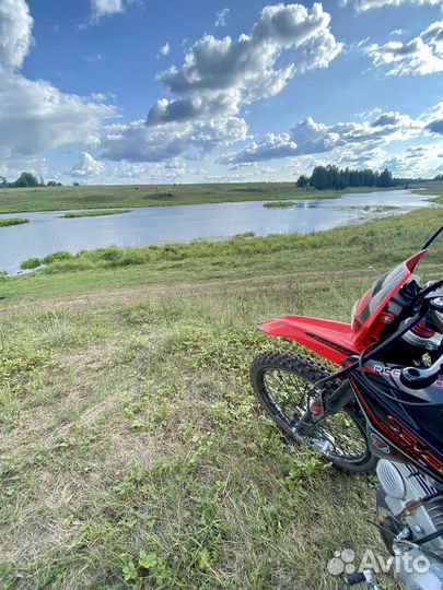 Питбайк regulmoto seven medalist PRO 19/16