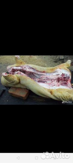 Мясо свинина домашняя