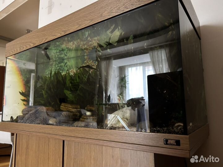 Аквариум с тумбой 250 литров