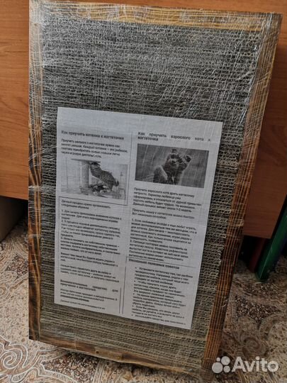 Когтеточка