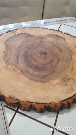 Спилы тополя