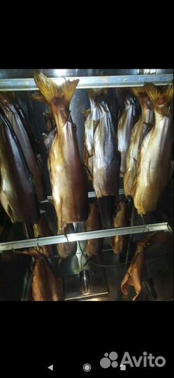 Копчёная рыба и мясо