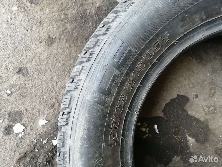 Tigar Ice 195/65 R15