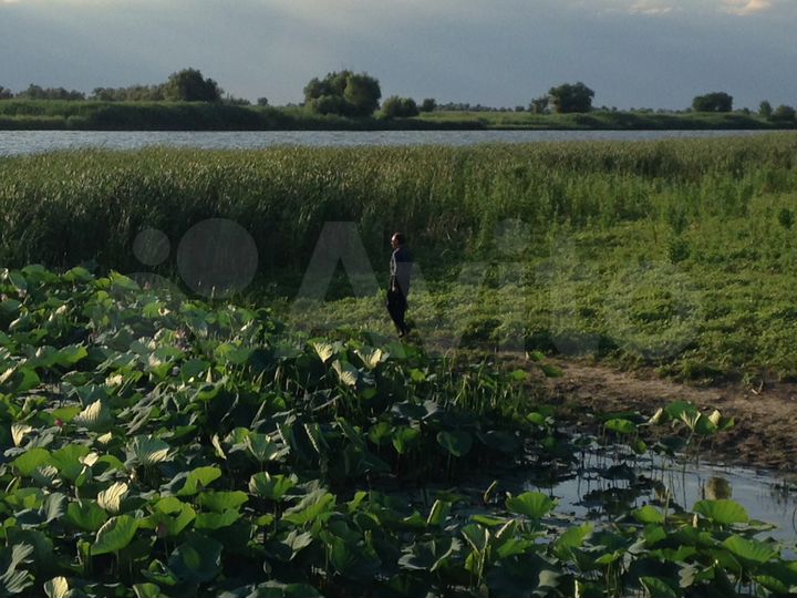 Участок 5,66 га (СНТ, ДНП)