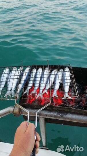 Морская рыбалка