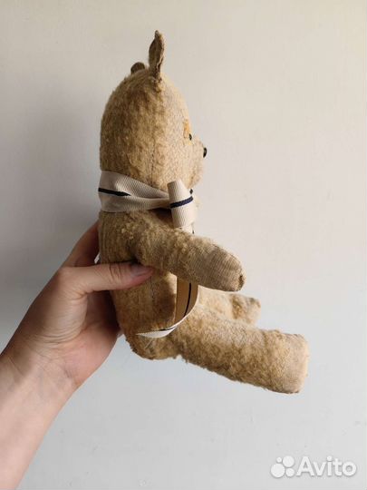 Медведь старинный