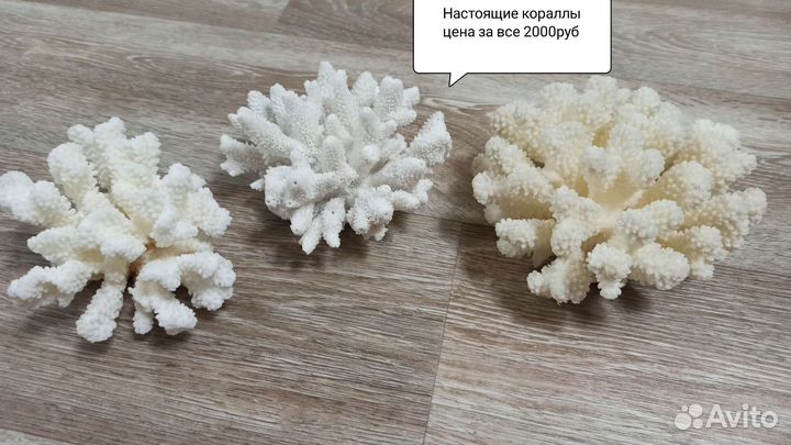 Для аквариама