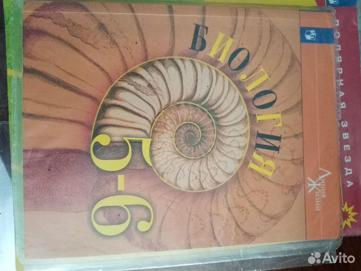 Биология 5,6 класс