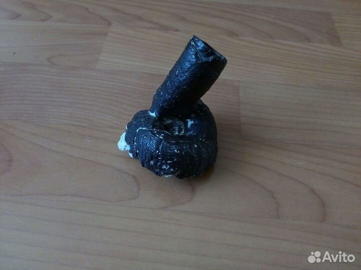 Ракушка Serpulorbis colubrinus 94 мм Редкая