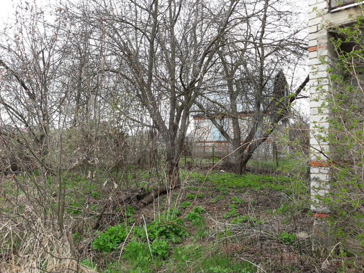 Дом 78 м² на участке 12 сот.