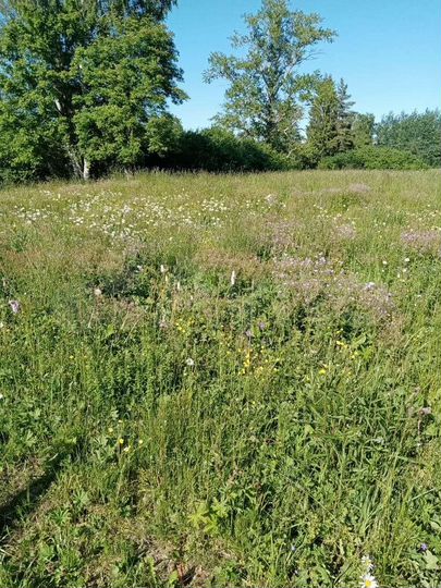 Участок 72 сот. (ИЖС)