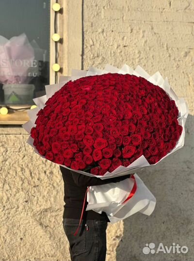 101 роза 51 31 25 роза цветы доставка