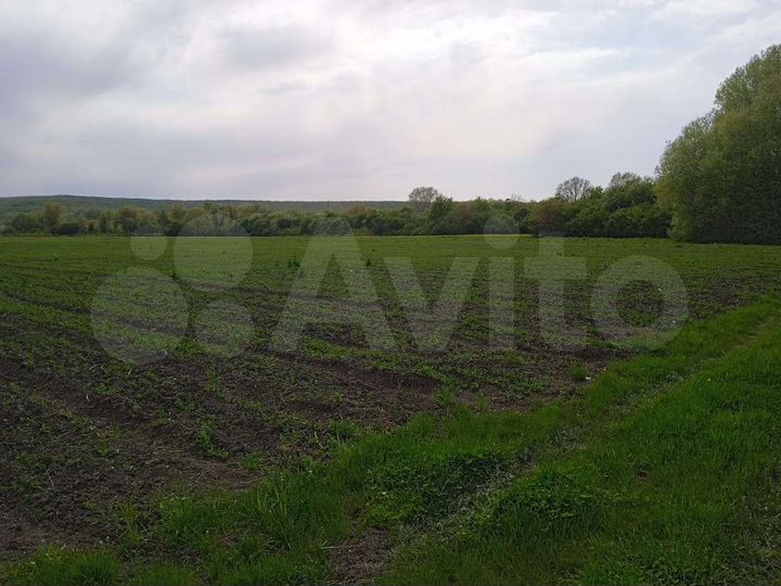 Участок 50 сот. (ИЖС)