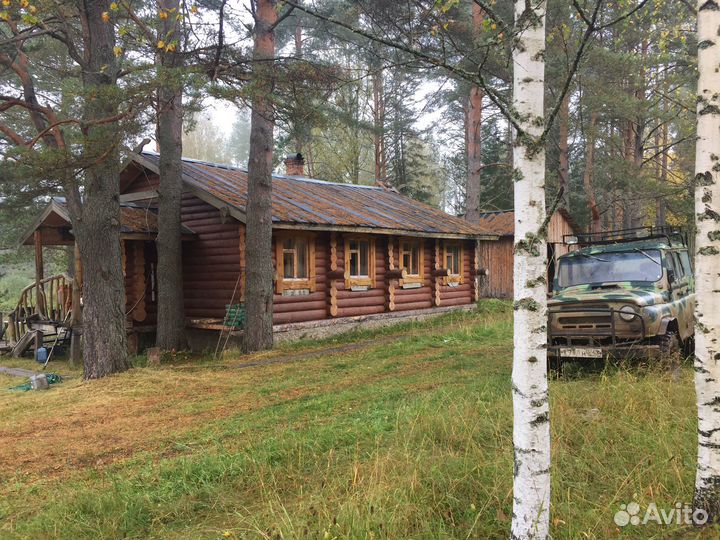 Услуги по организации рыбалки и охоты