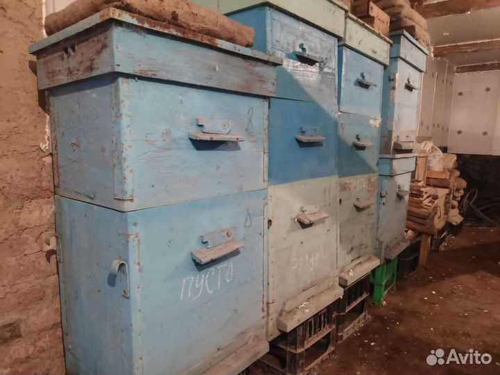 Продам Ульи для пчел