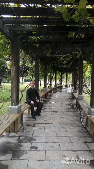 Тренеровки по тайцзи-цюань и цигун