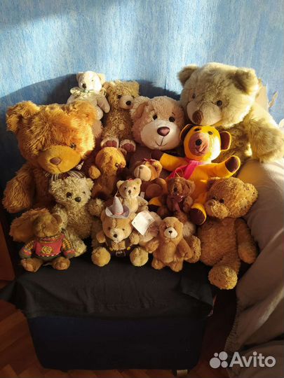 Коллекция мягких медведей