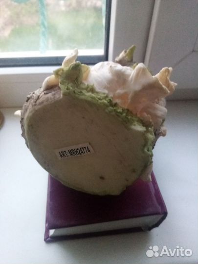 Сувенир Голуби с птенцами