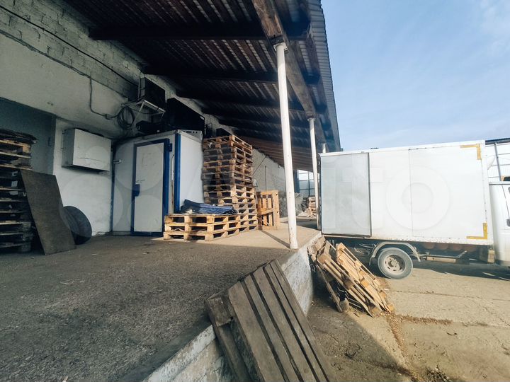 Новый морозильный/ теплый склад, 256 м²
