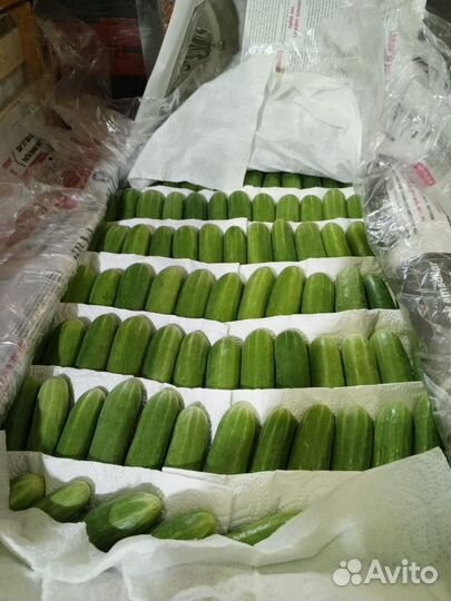 Доставка продуктов питания