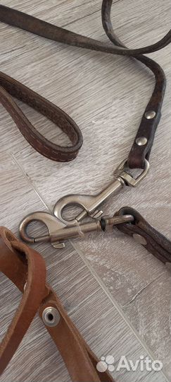 Намордник, поводок для собаки