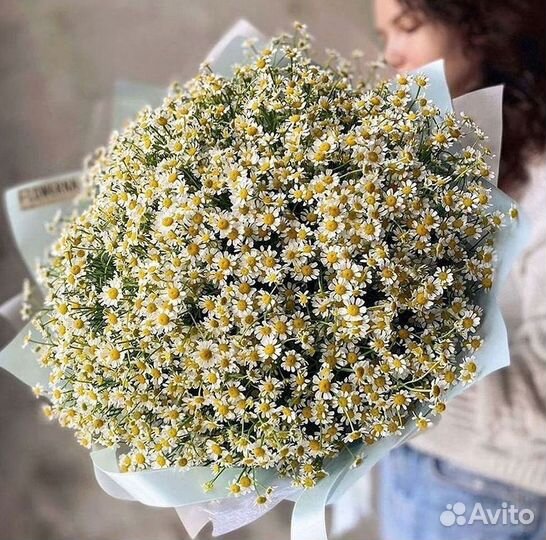 Цветы ромашки. Букеты ромашек. Цветы доставка