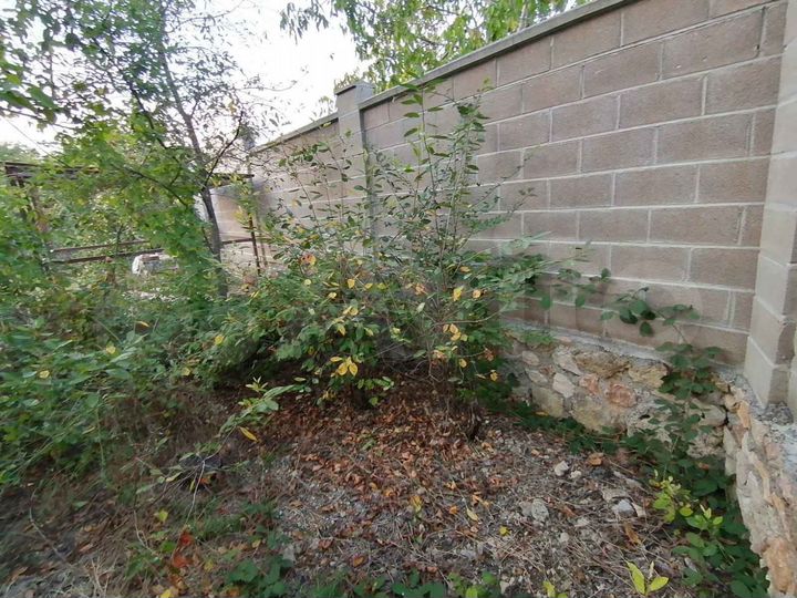 Участок 4,8 сот. (СНТ, ДНП)