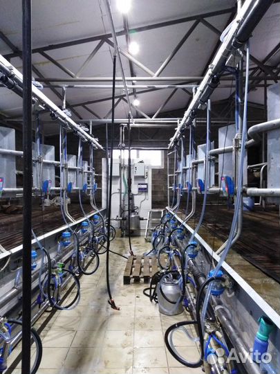 Молокопроводы, стойло, поение для крс