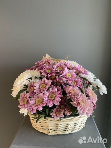 Хризантемы Букет хризантем 5 11 25 31 45 шт