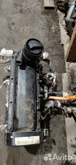 Двигатель Skoda Octavia