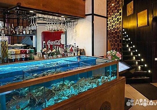 Аквариум для продажи живой рыбы, мидий 200*50*50