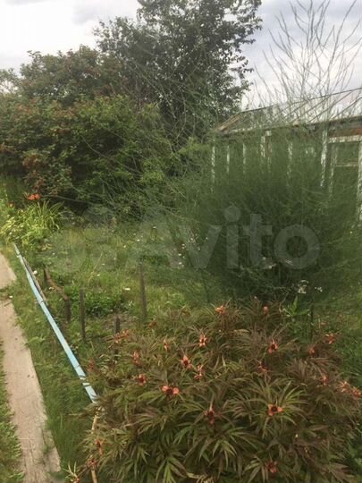 Дом 83,7 м² на участке 10,6 сот.