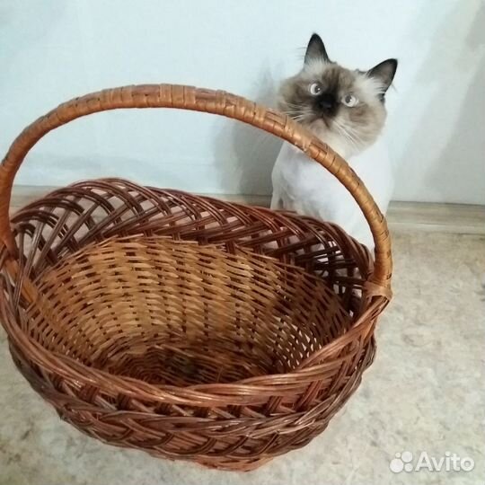 Корзина плетенная