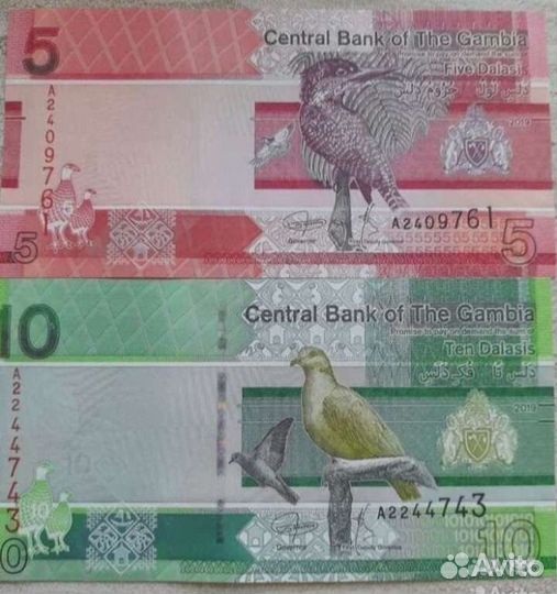 Банкнота Гамбия 5-10 даласи. UNC